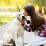 How Does In‑Home Euthanasia Work for Senior Pets with Arthritis?