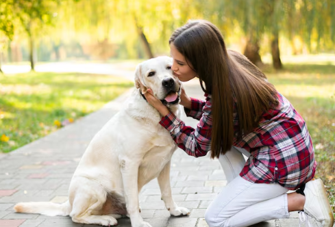 How Does In‑Home Euthanasia Work for Senior Pets with Arthritis?