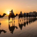 Discover the Magic of a Camel Ride in Essaouira: A Must-Do Activity