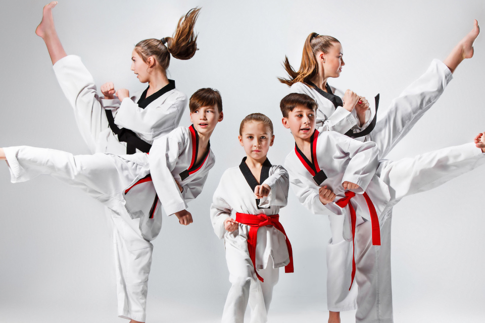 Martial Arts Training