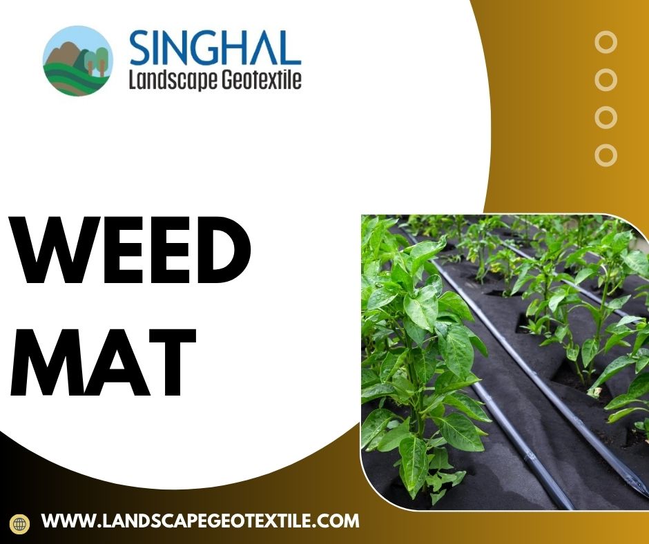 Black Weed Mat vs Green Weed Mat: What is Best?