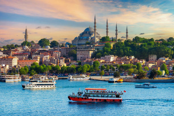 Turkey Tourist Visa Assistance