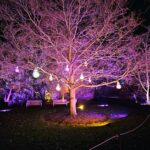 lighting installation services