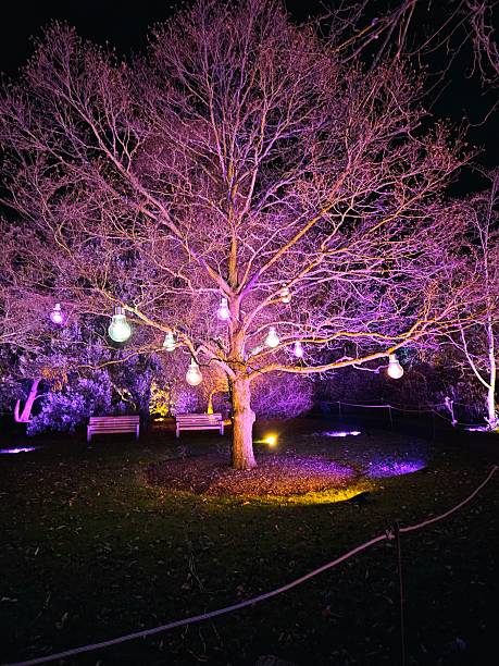 lighting installation services