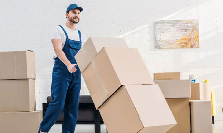 Removalist Mount Gravatt: Reliable and Affordable Moving Services in Brisbane