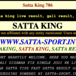 Delhi Satta King: The Ultimate Guide to Online Satta Gaming in Delhi