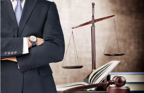 Lawyer for Federal Cases