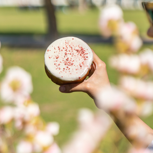sakura japanese treats