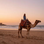 Sunset Camels & Stunning Photos in Essaouira الصويرة