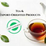 gmp certification in sri lanka