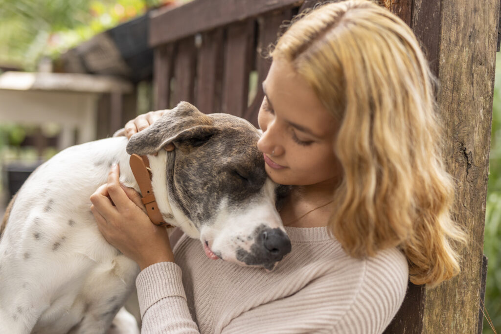 veterinary hospice care