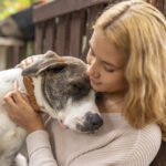 veterinary hospice care