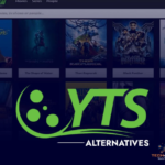 Understanding the Role of a Torrent Website in the Digital Sharing Era