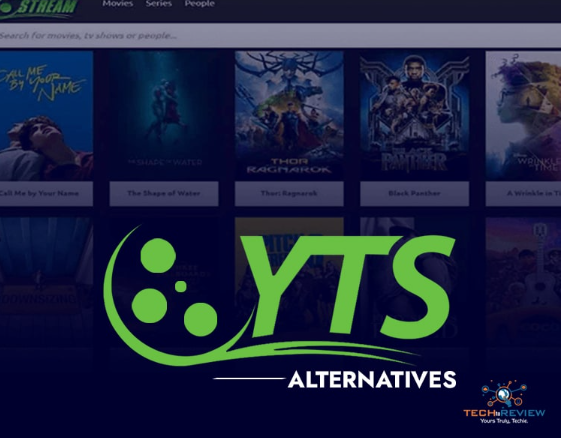 Understanding the Role of a Torrent Website in the Digital Sharing Era