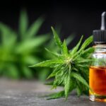 Premium THC Tinctures Vermont for Flavor-Focused Cannabis Users