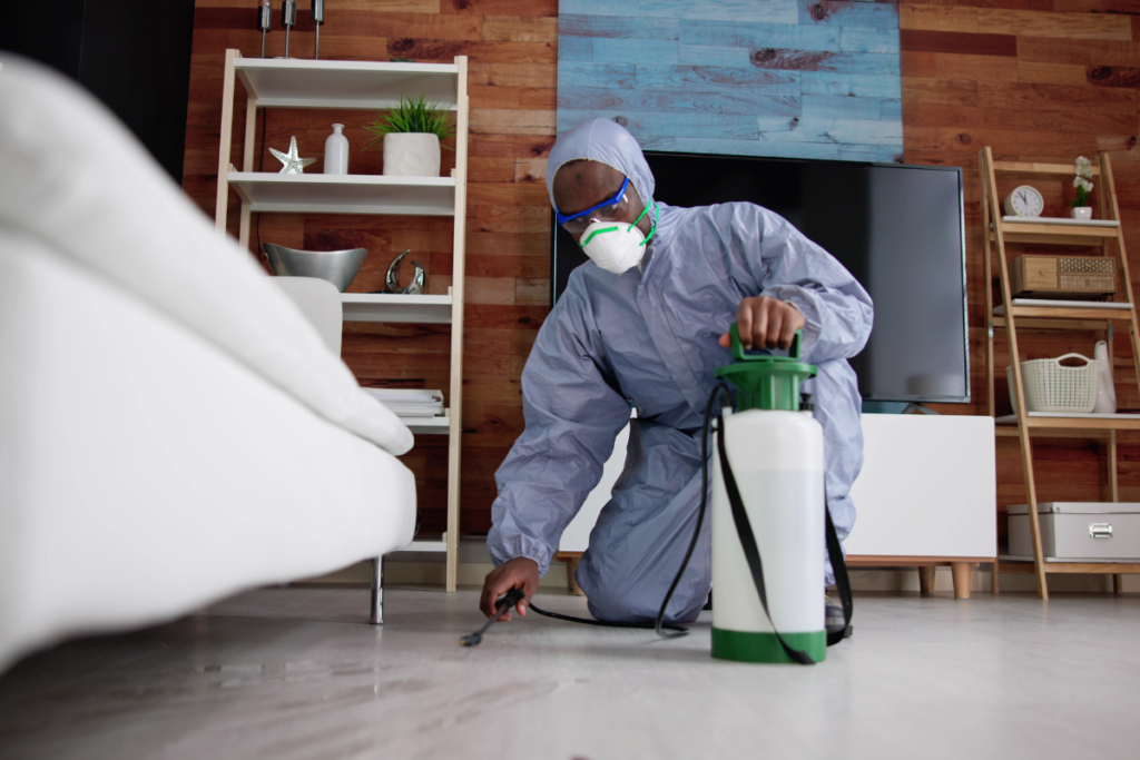 Bed Bug Exterminator