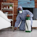 Bed Bug Exterminator