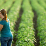 How to Switch Farm Land to a Shopping Center