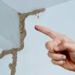 Deemak Control in Lahore new