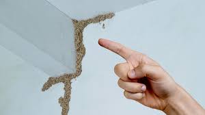 Deemak Control in Lahore new