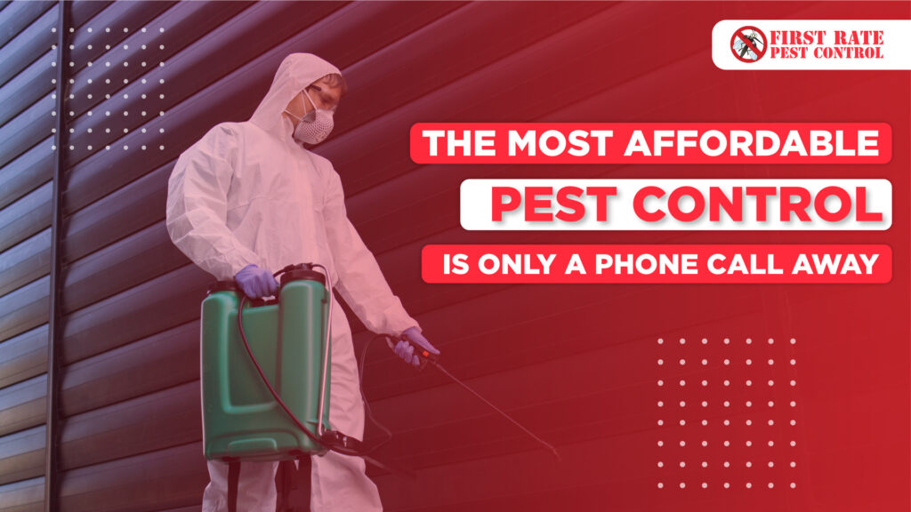 Beyond the Buzz: Smarter Pest Defense Strategies for the 2026 Homeowner