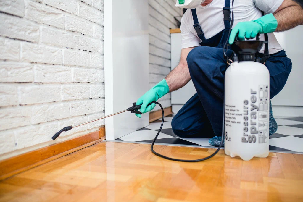 Pest Control Islamabad – Protect Your Home and Business from Harmful Pests