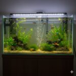 fish Aquarium pump