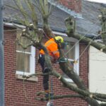 Arborist