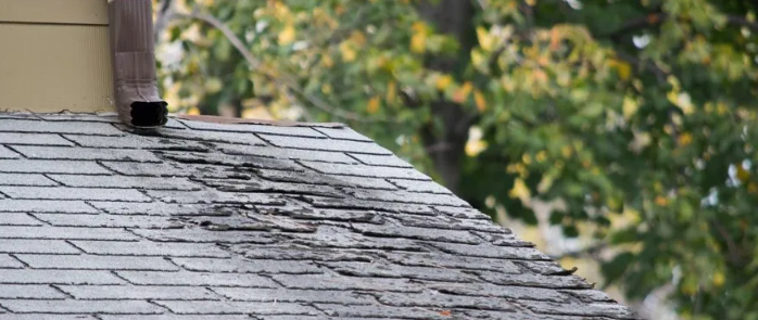 Signs Your Roof Needs Immediate Attention