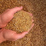 When to Partner with a Soybean Meal Manufacturer for Bulk Supply