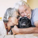 Professional animal communicator