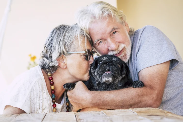 Professional animal communicator