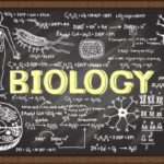 biology essays