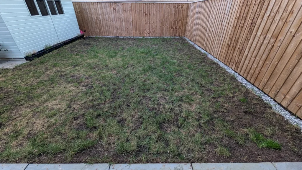 How to Fix Patchy Grass After a Harsh Omaha Winter