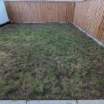 How to Fix Patchy Grass After a Harsh Omaha Winter