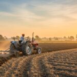 The 2026 Shift: Powering the Future with Agricultural Oil Suppliers