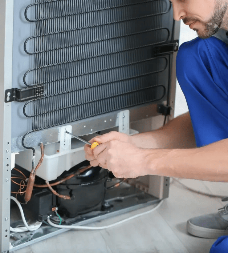 Fixing Refrigerator Door Seal Problems